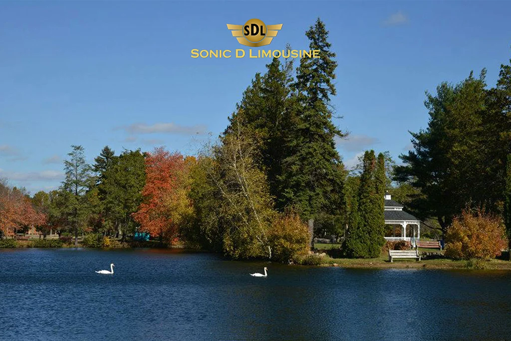 Sonic D Limo Premier Airport Car Service in Roxbury New Jersey