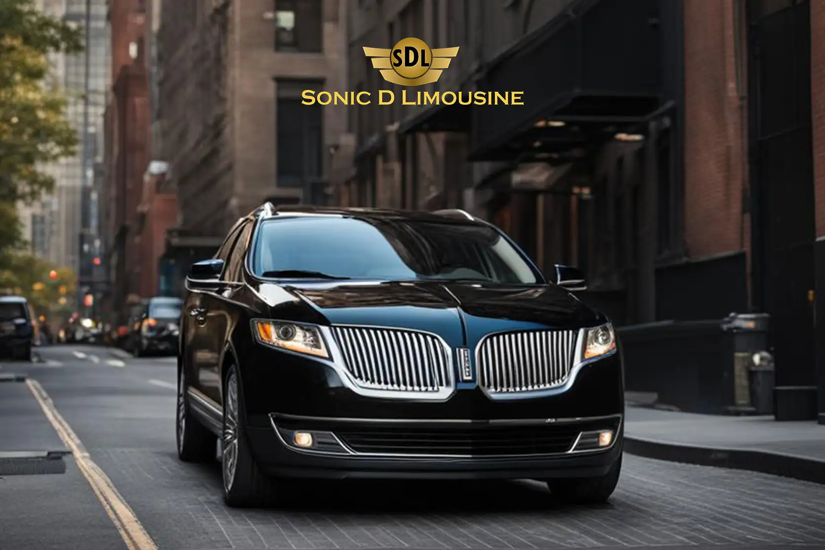 Sonic D Limo Premier Princeton to Newark Airport Shuttle & EWR