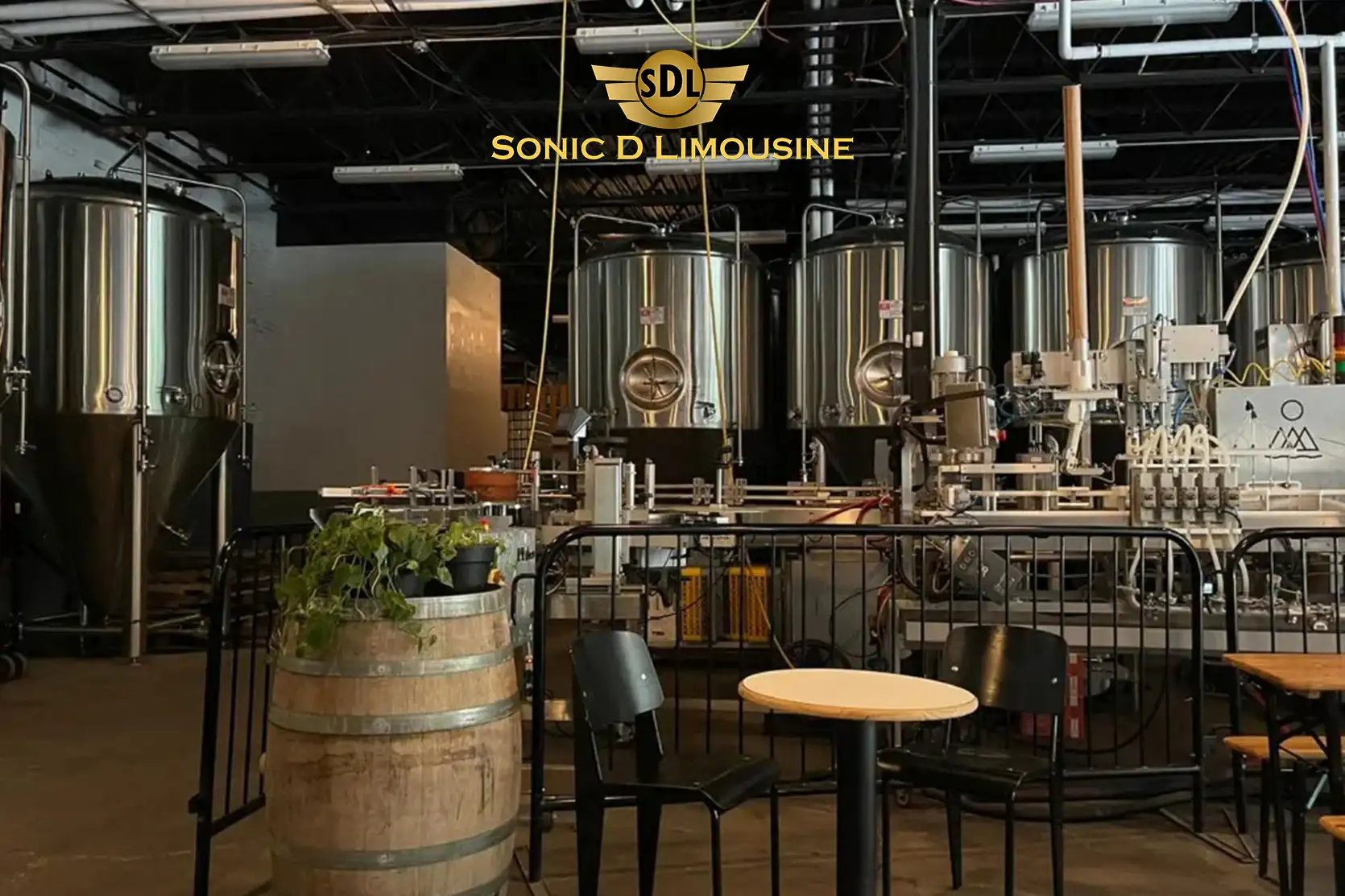Sonic D Limo Ultimate Hudson Valley Brewery Tour Beacon, NY Hop Aboard for Beer Tastings