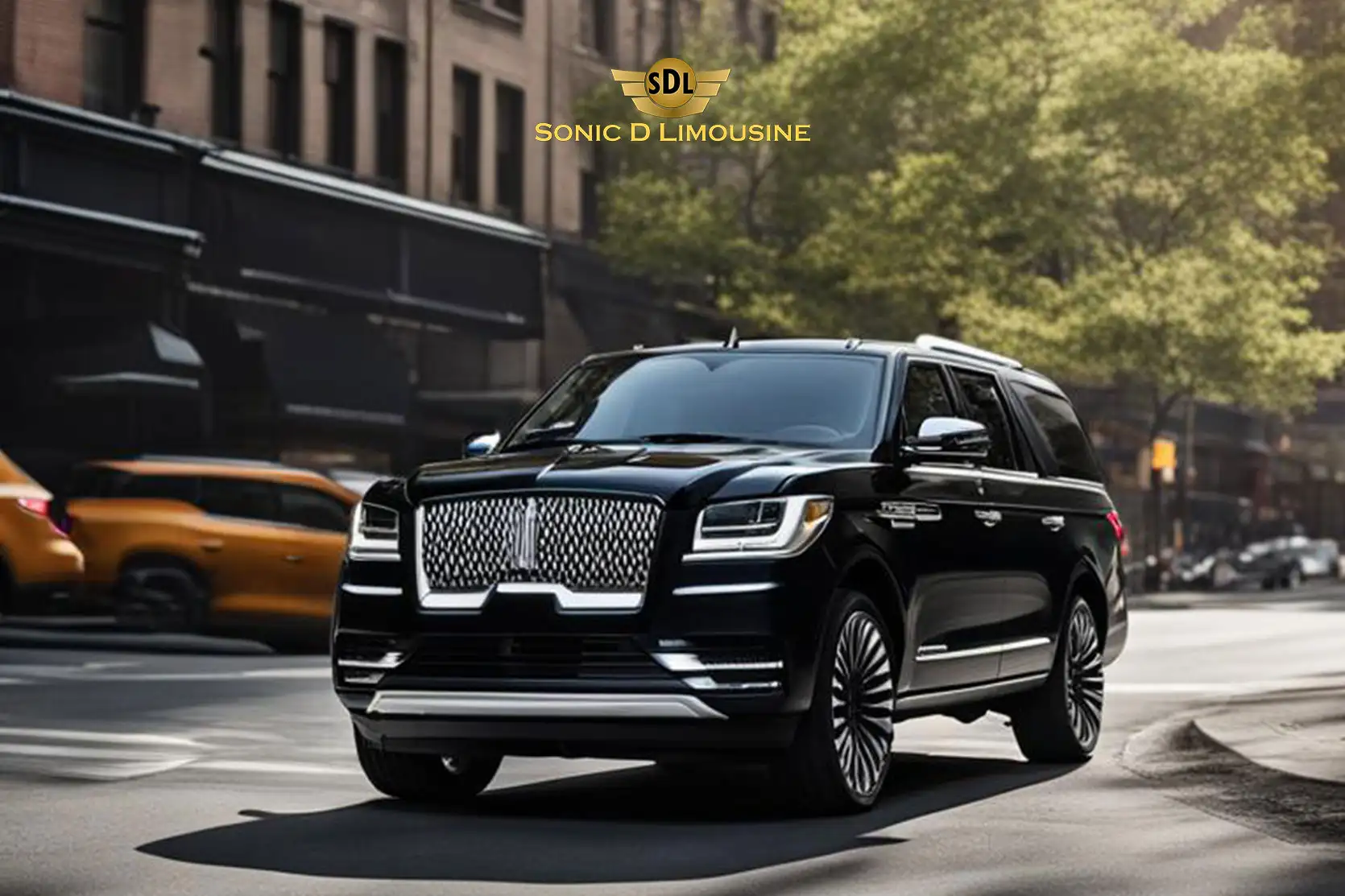 Sonic D Limo Premier 100 Reliable Car Service in Houston Airport