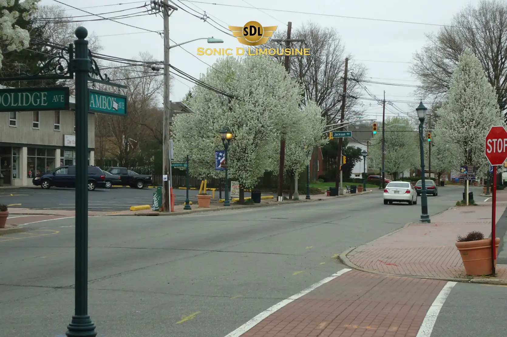 Sonic D Limo TopRated Edison Airport Transportation 100 Reliable