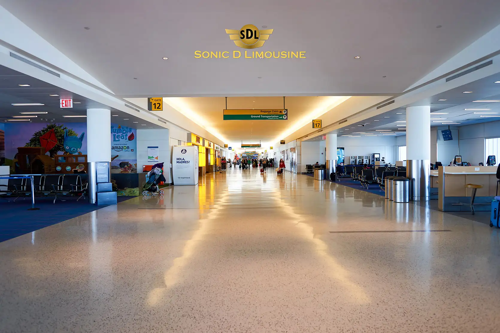 Sonic D Limo Your 1 Choice for Affordable JFK Airport & Newark